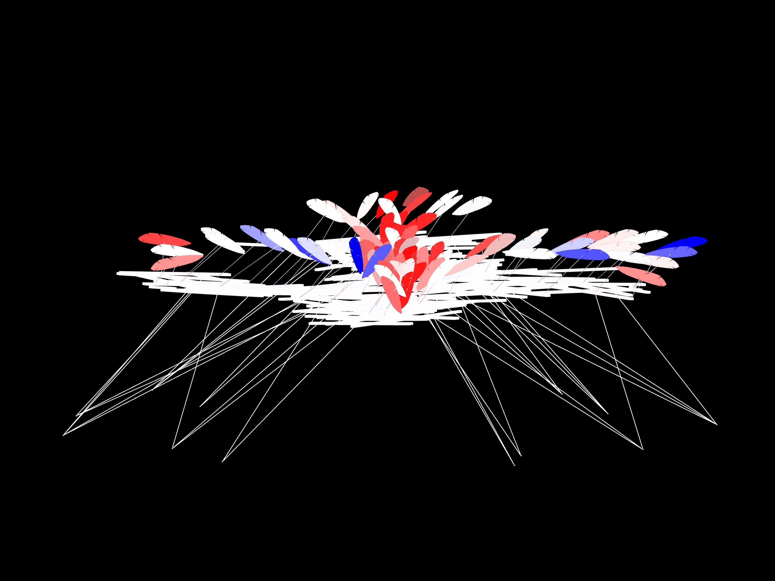 L'Envol, image 6