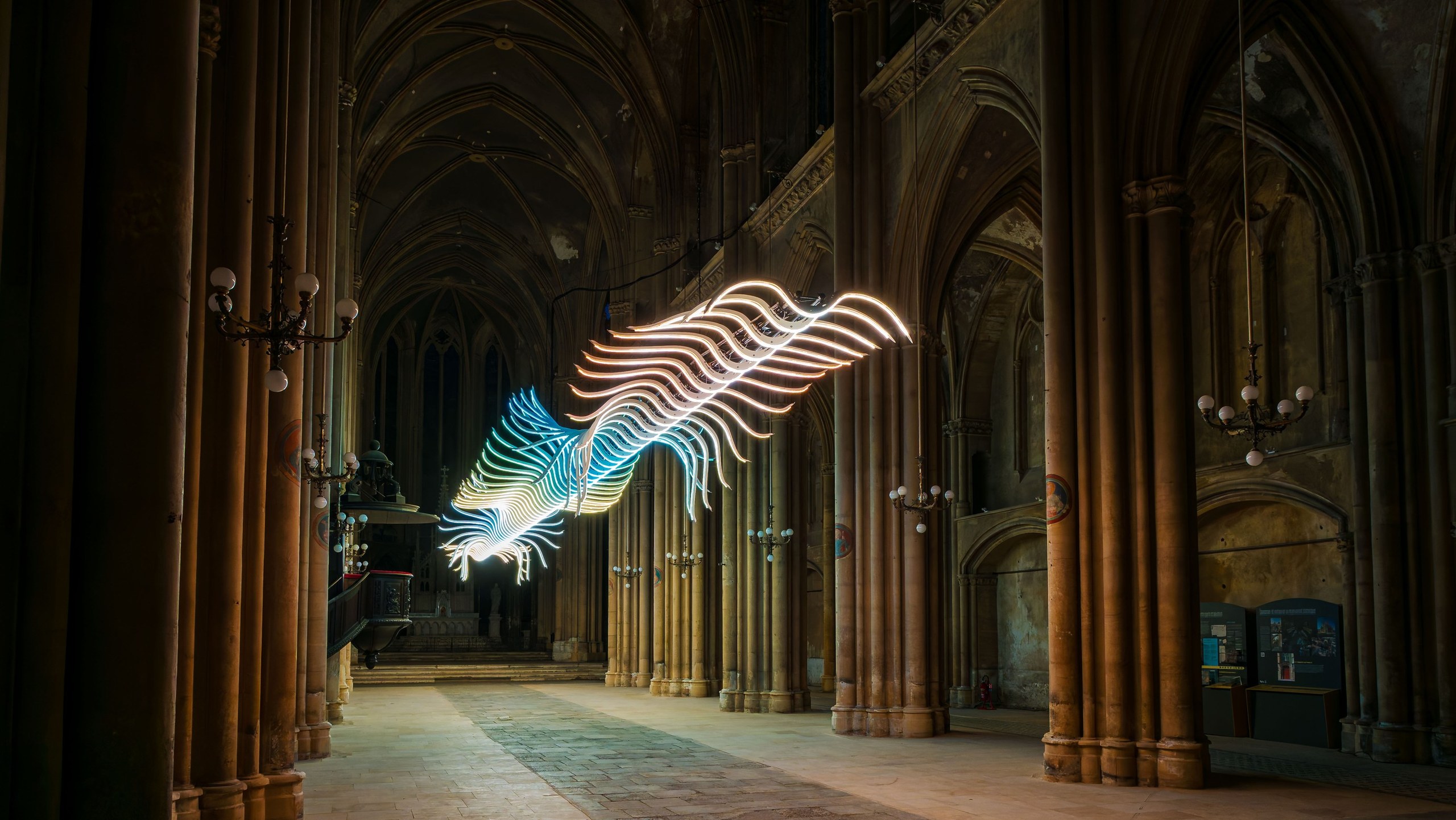 Oiseau de passage, image 3