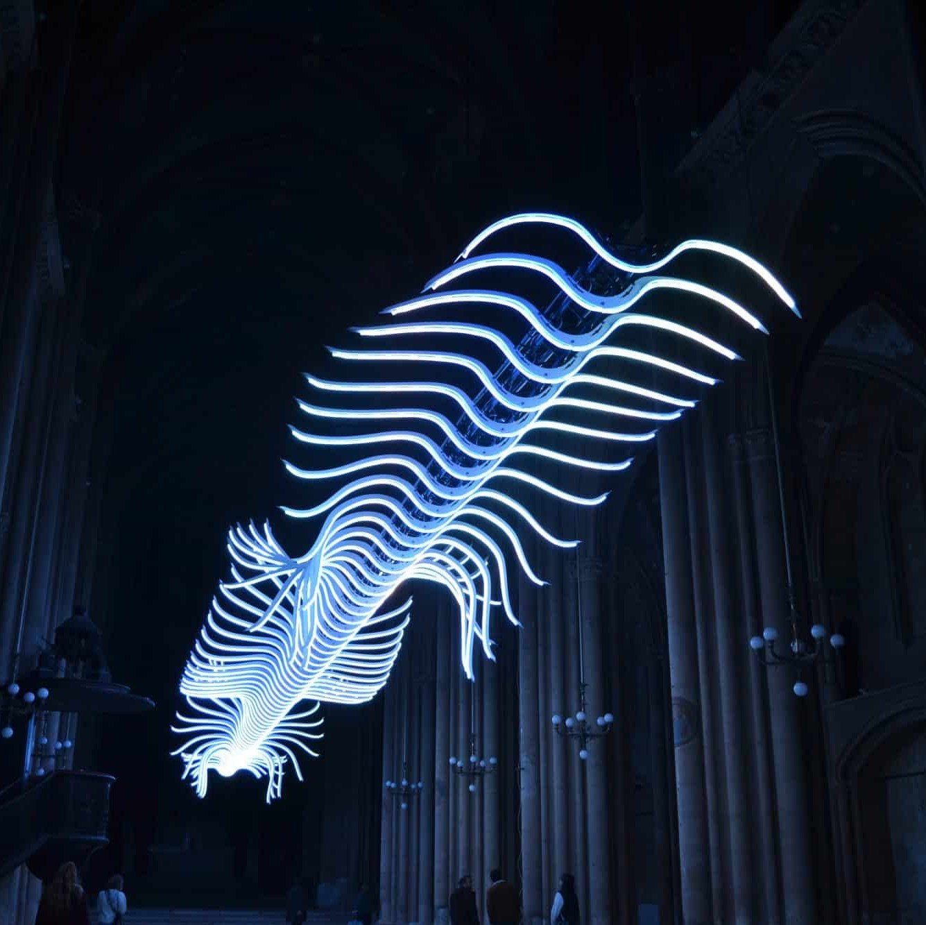 Oiseau de passage, Luminariste