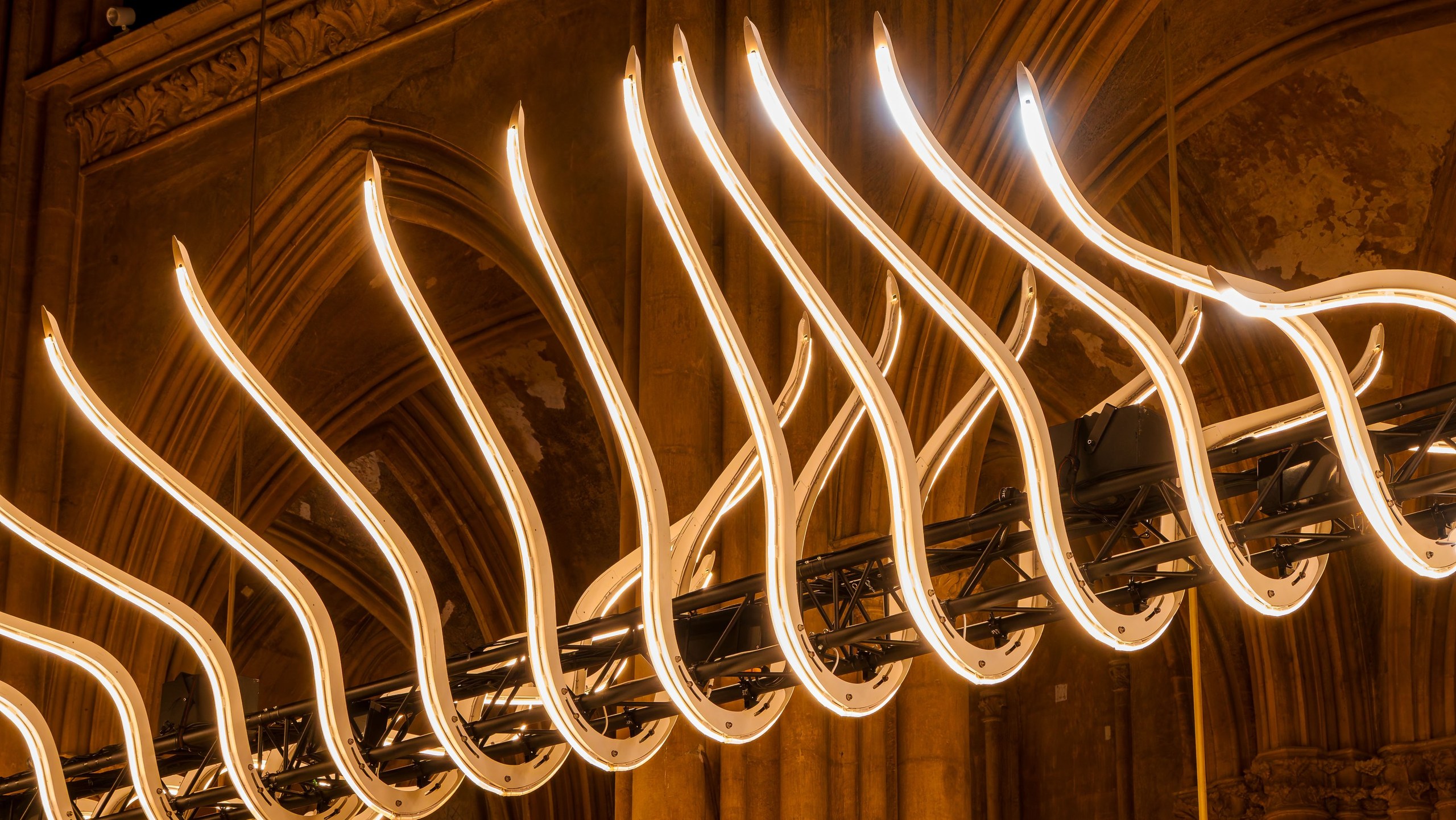 Oiseau de passage, Luminariste
